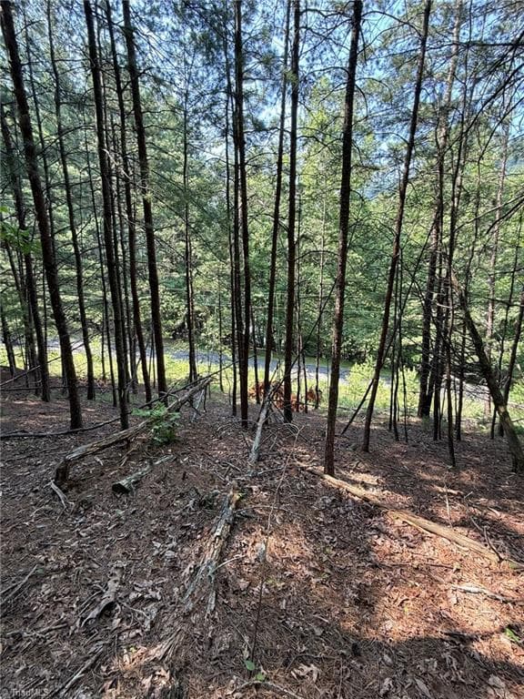 Single Family Residence at Lot 33 Jonathan Drive, Lowgap NC 27024, Lowgap, photo 37 of 76