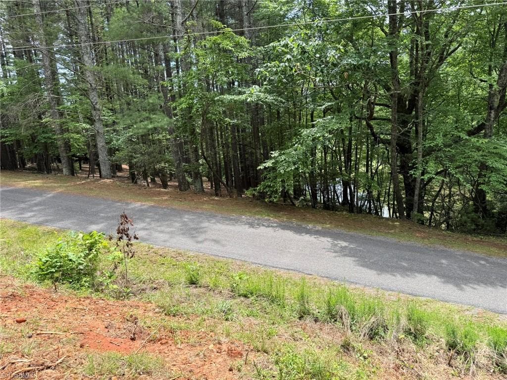 Single Family Residence at Lot 33 Jonathan Drive, Lowgap NC 27024, Lowgap, photo 7 of 76