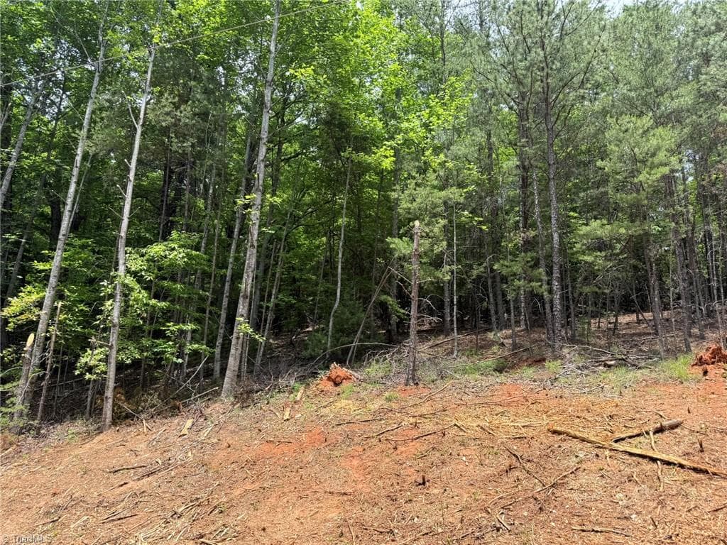 Single Family Residence at Lot 33 Jonathan Drive, Lowgap NC 27024, Lowgap, photo 15 of 76