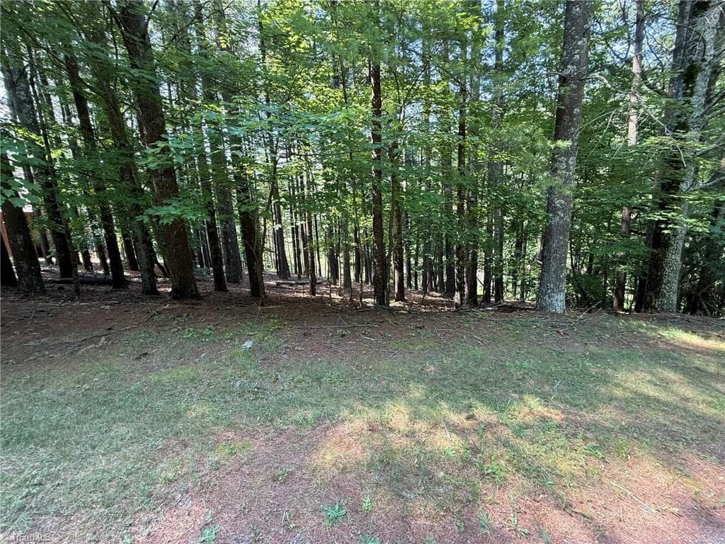 Single Family Residence at Lot 33 Jonathan Drive, Lowgap NC 27024, Lowgap, photo 49 of 76