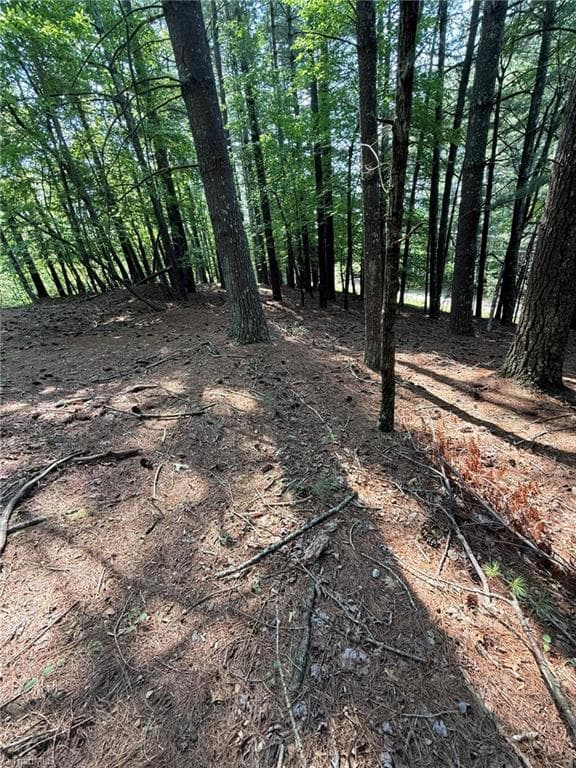 Single Family Residence at Lot 33 Jonathan Drive, Lowgap NC 27024, Lowgap, photo 41 of 76