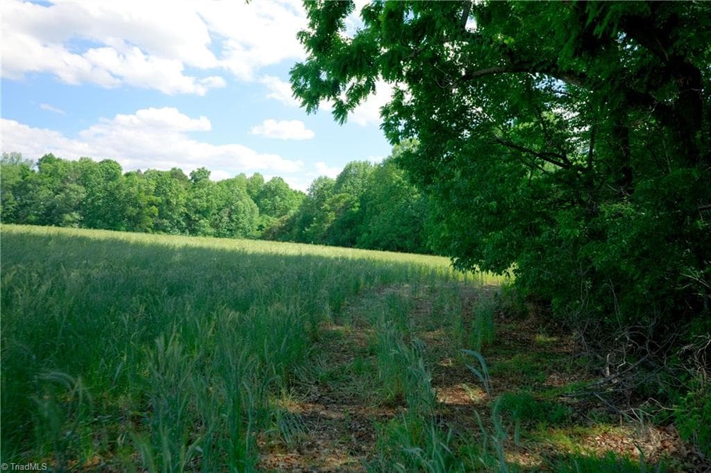 Unimproved Land at 1 Powell Bridge Road, Harmony NC 28634, Harmony, photo 11 of 29
