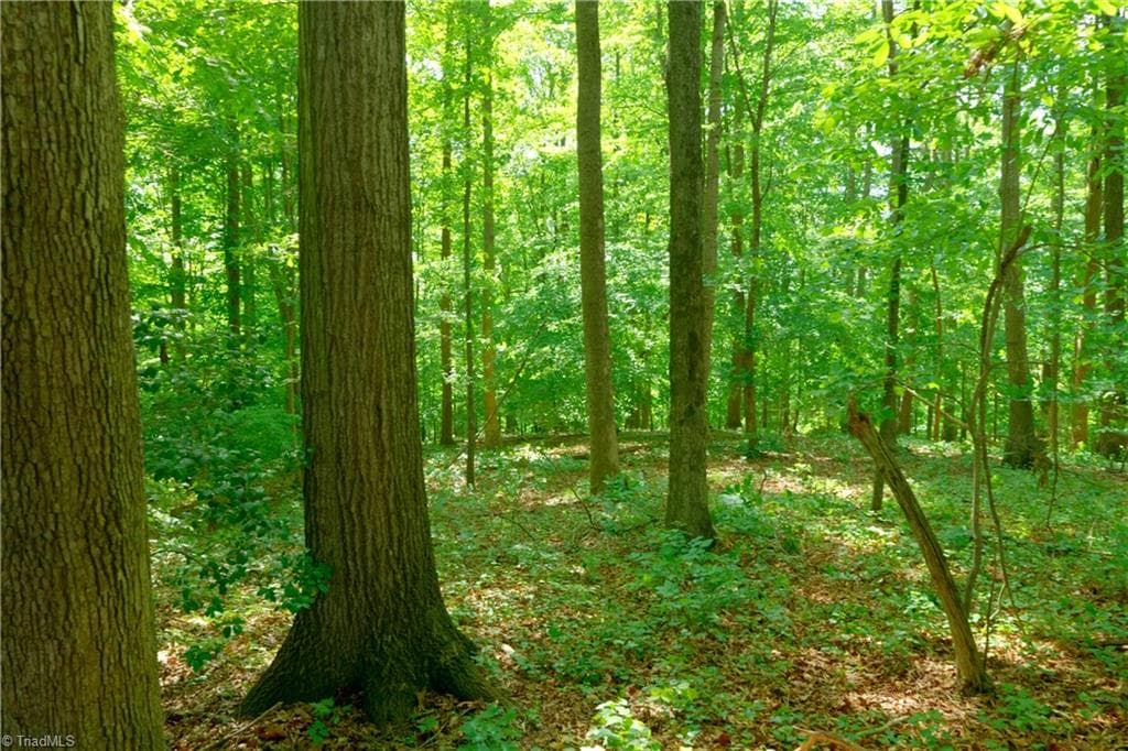 Unimproved Land at 2 Powell Bridge Road, Harmony NC 28634, Harmony, photo 10 of 30