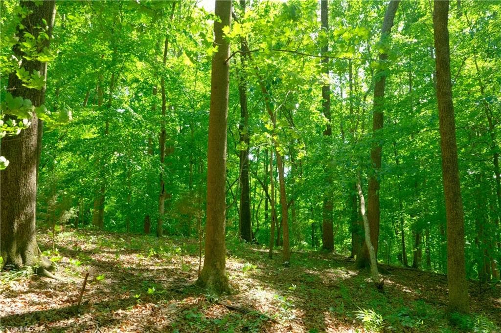 Unimproved Land at 2 Powell Bridge Road, Harmony NC 28634, Harmony, photo 11 of 30
