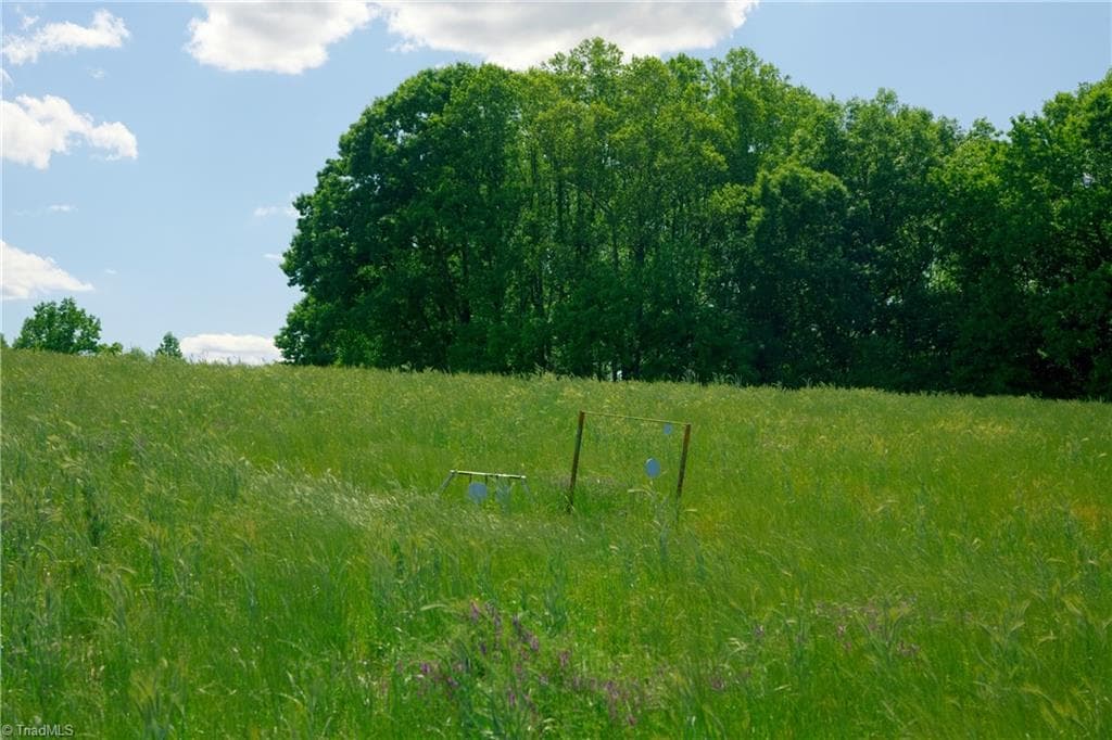Unimproved Land at 2 Powell Bridge Road, Harmony NC 28634, Harmony, photo 8 of 30