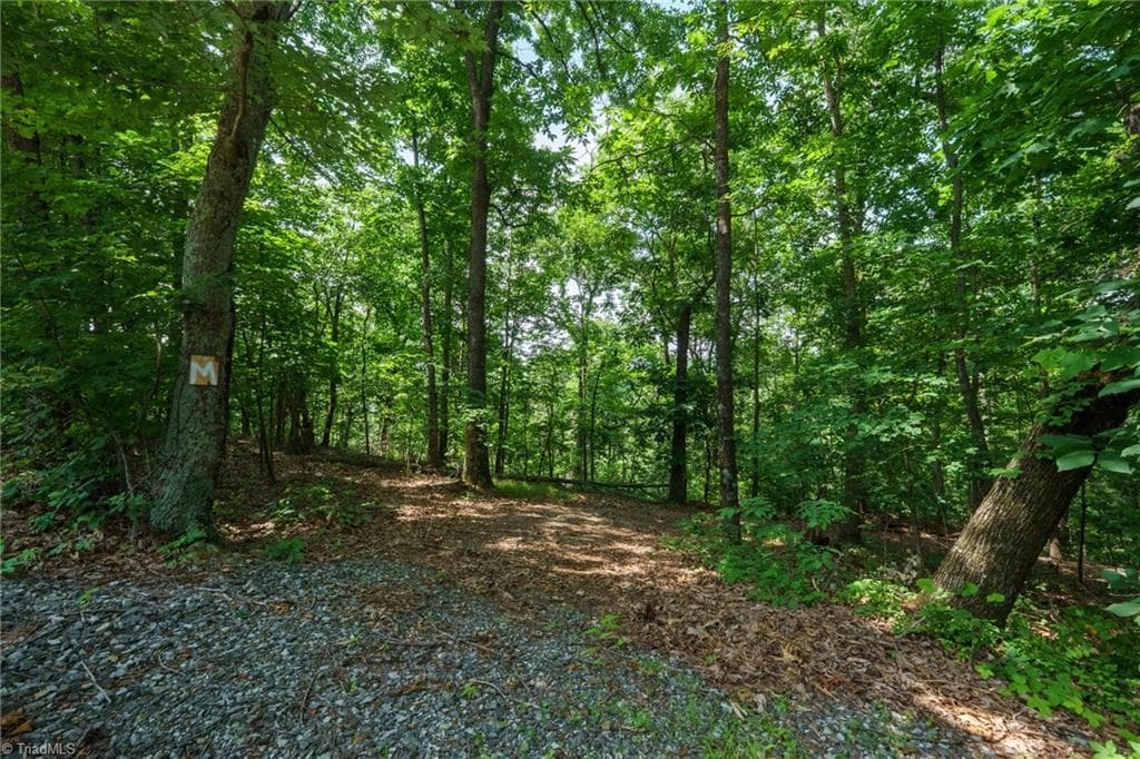 00 Hendren Road, Moravian Falls NC 28654