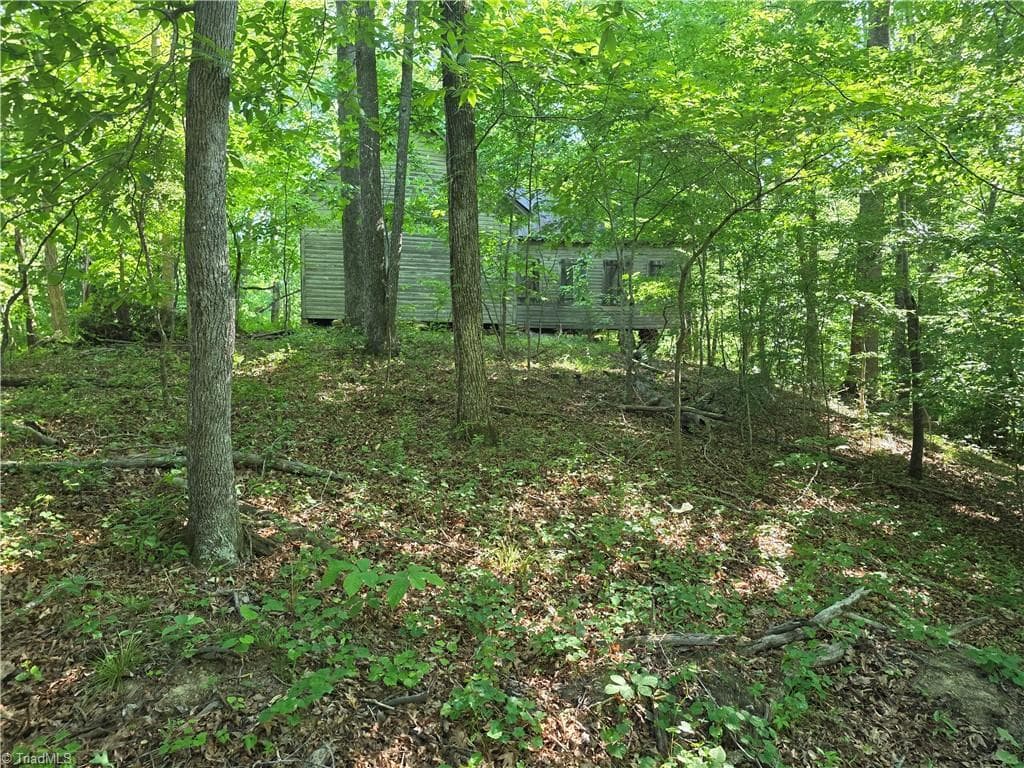 Stick/Site Built at 1055 Ed Booth Road, Westfield NC 27053, photo 12 of 16