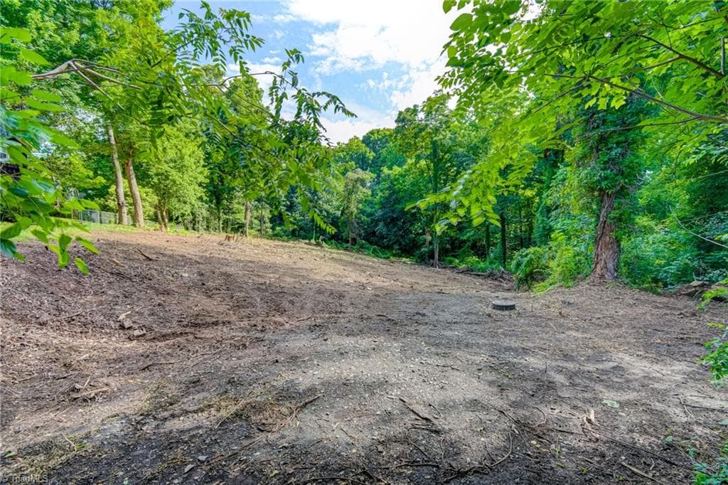 Single Family Residence at 1631 Ardsley Street, Winston-Salem NC 27103, Winston-Salem, photo 11 of 18