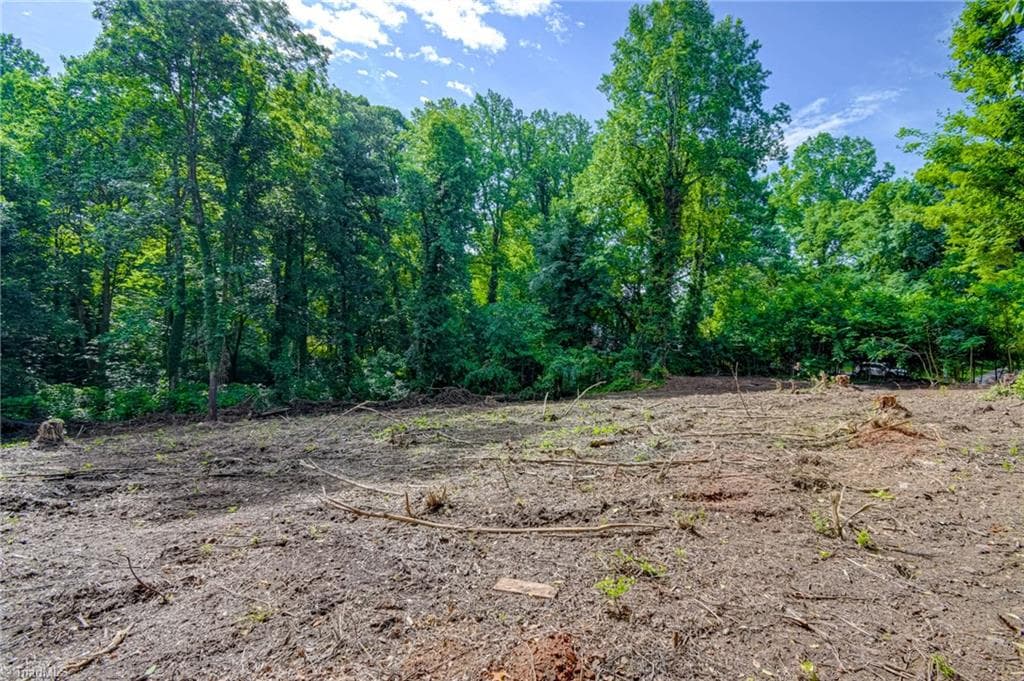 Single Family Residence at 1631 Ardsley Street, Winston-Salem NC 27103, Winston-Salem, photo 15 of 18