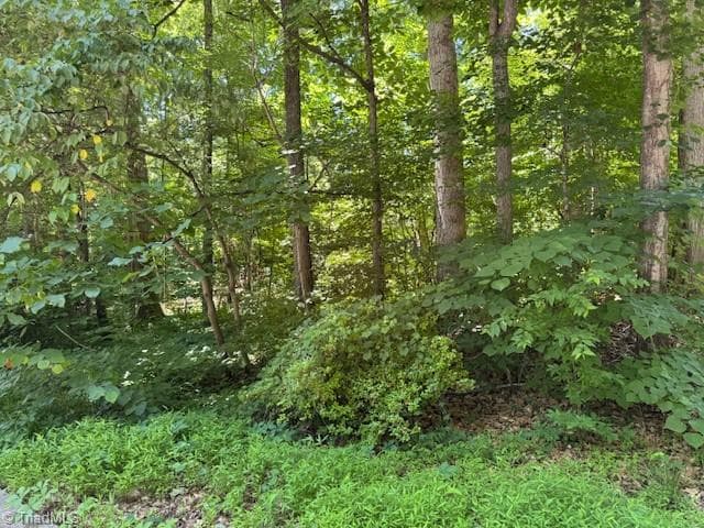 271 Holly Lane, Mocksville NC 27028