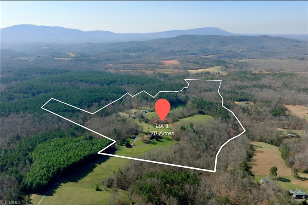 Stick/Site Built at 1019 George Road, Westfield NC 27053, photo 6 of 50