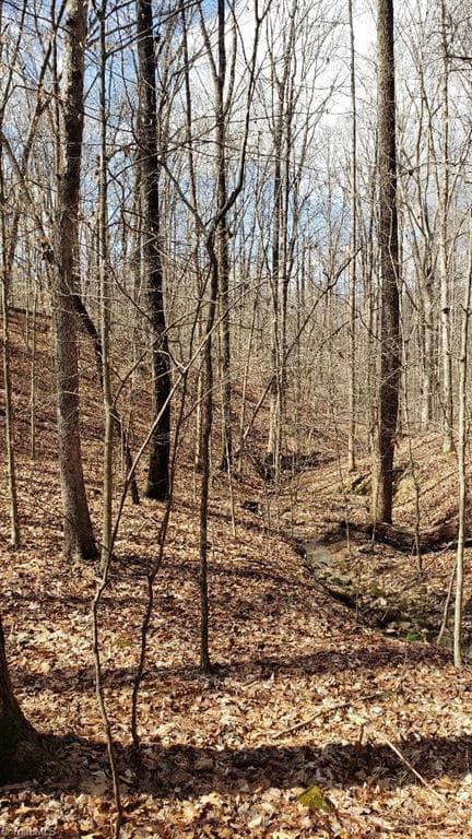 A spring stream in the hardwoods - 833 Calahaln Road, Mocksville NC 27028, Mocksville