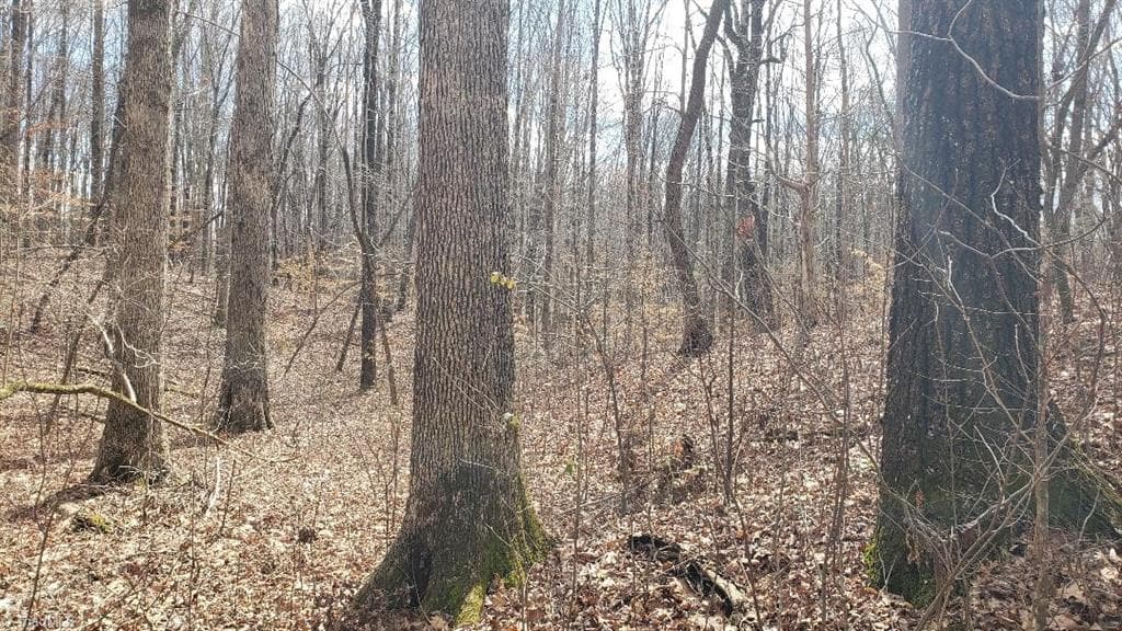 White Oak forest, outstanding wildlife habitat, beautiful homesites - 861 Calahaln Road, Mocksville NC 27028, Mocksville