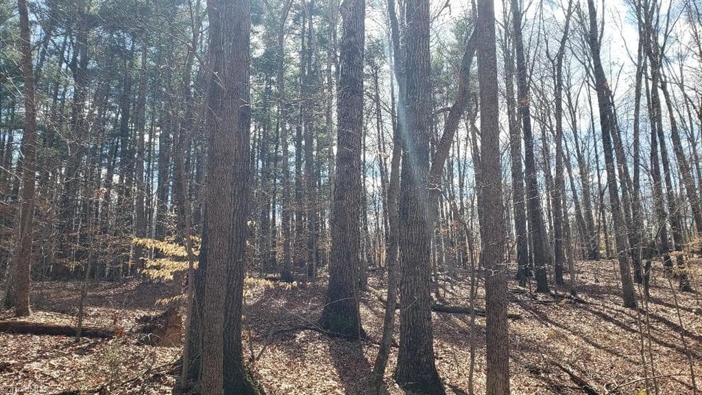 Oak forest, homesites - 861 Calahaln Road, Mocksville NC 27028, Mocksville