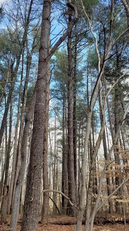 Unimproved Land at 861 Calahaln Road, Mocksville NC 27028, Mocksville, photo 7 of 28