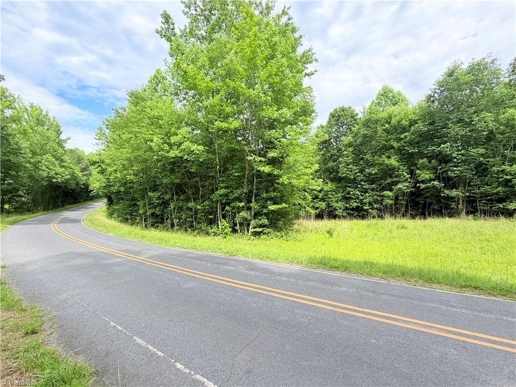 Unimproved Land at TBD TRACT B Bellview Road, Robbins NC 27325, photo 3 of 9