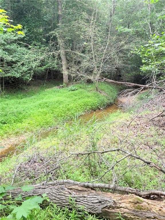 Unimproved Land at TBD TRACT B Bellview Road, Robbins NC 27325, photo 8 of 9