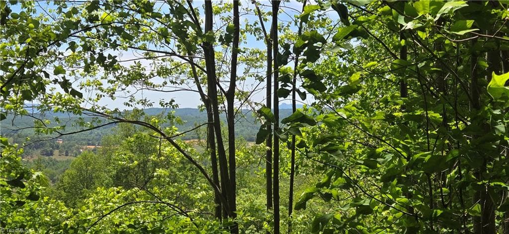 Single Family Residence at 00 Goose Creek Lane, Ararat VA 24053, Ararat, photo 10 of 20