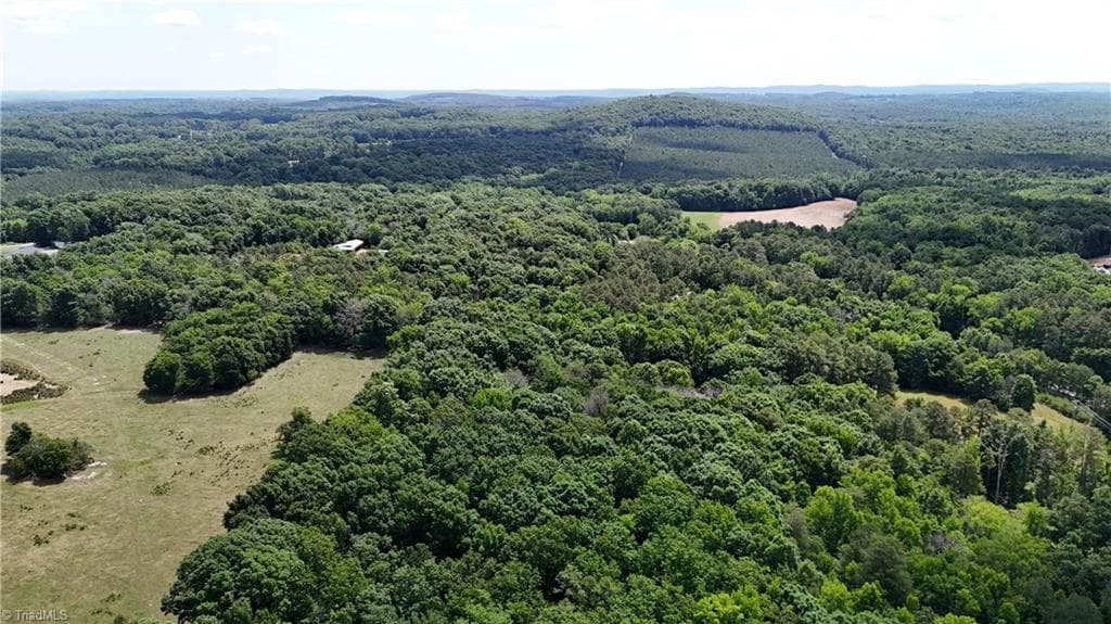 Unimproved Land at 00 NC Highway 49, Denton NC 27239, photo 13 of 21