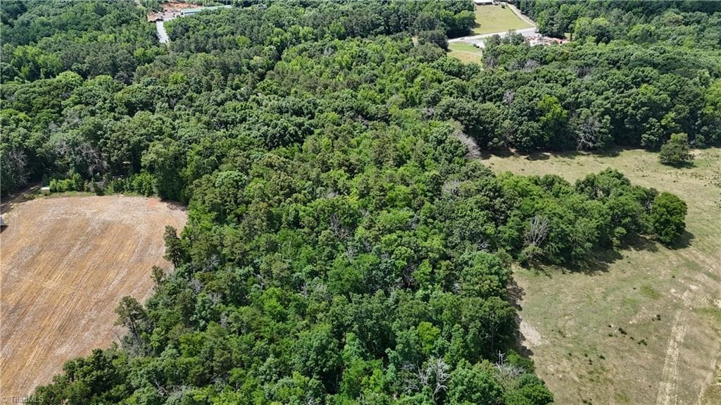 Unimproved Land at 00 NC Highway 49, Denton NC 27239, photo 12 of 21