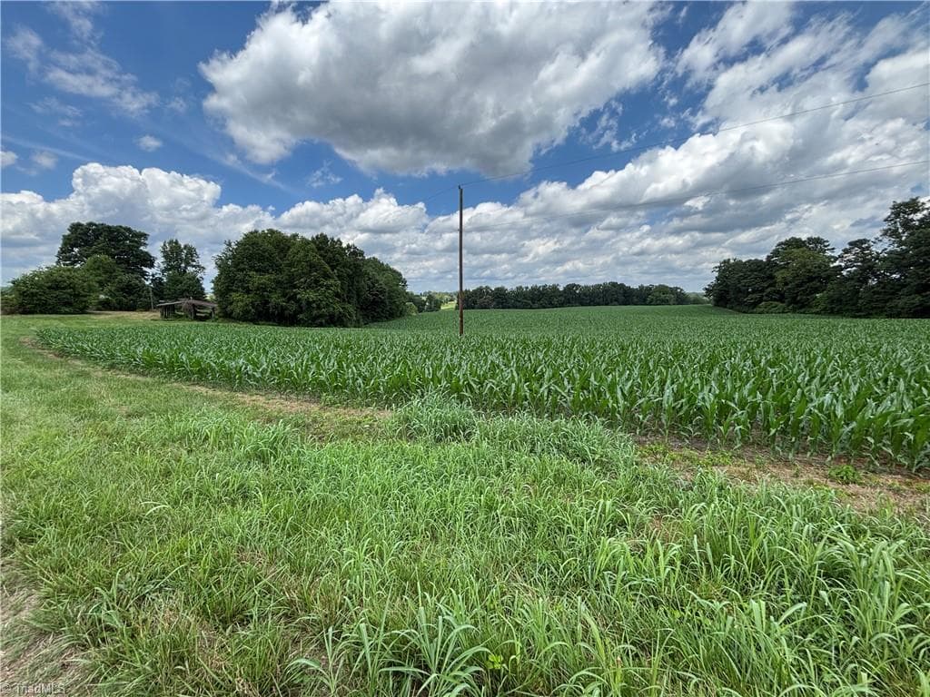 Agriculture at 460 Greene Road, Dobson NC 27017, photo 12 of 49