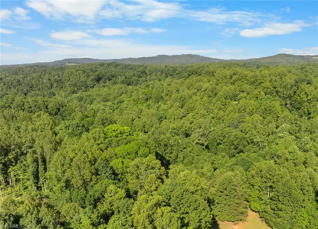 00 Echo Hollar Road, Westfield NC 27053