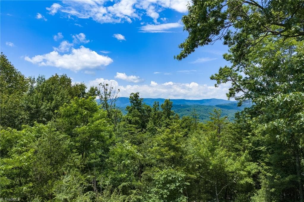 Stick/Site Built at 1987 Buck Mountain Road, Purlear NC 28665, Purlear, photo 15 of 50