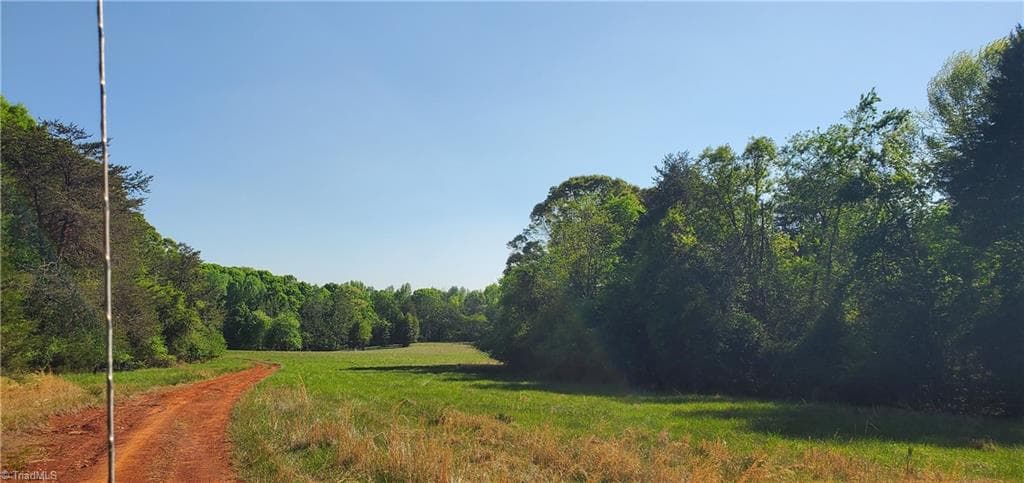 Agriculture at 795 Elk Shoals Church Loop, Stony Point NC 28678, photo 44 of 49