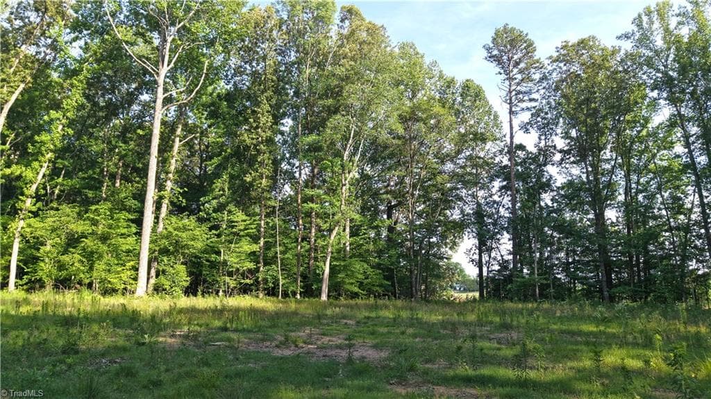 Agriculture at 6810 Sawyer Road, Liberty NC 27298, photo 13 of 24