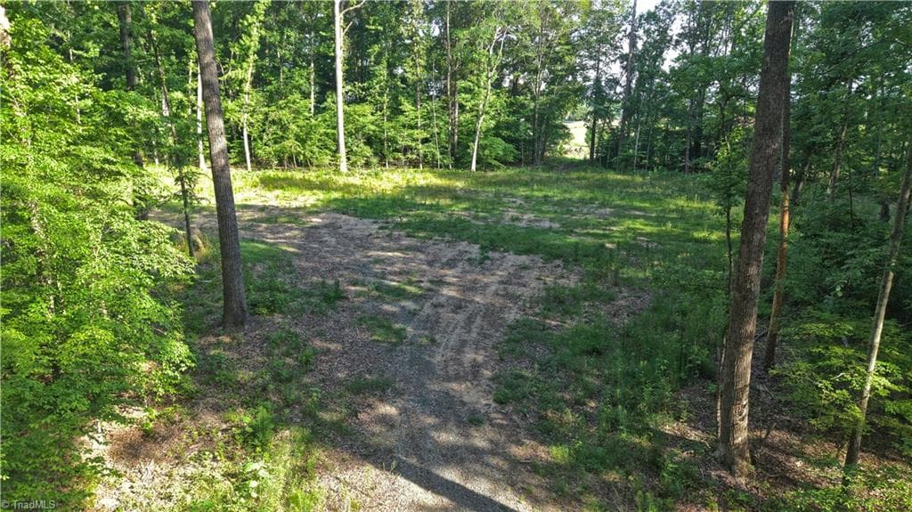 Agriculture at 6810 Sawyer Road, Liberty NC 27298, photo 11 of 24