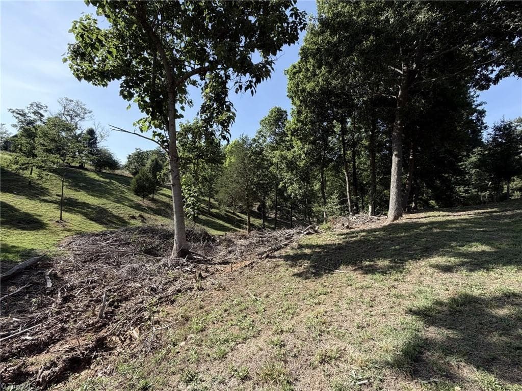 Unimproved Land at 0 Stewart Road, Walnut Cove NC 27052, photo 6 of 17