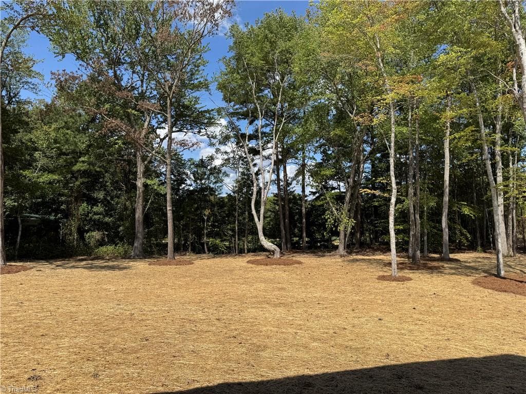 Stick/Site Built at 6787 Ridge Road, Lexington NC 27295, photo 49 of 50