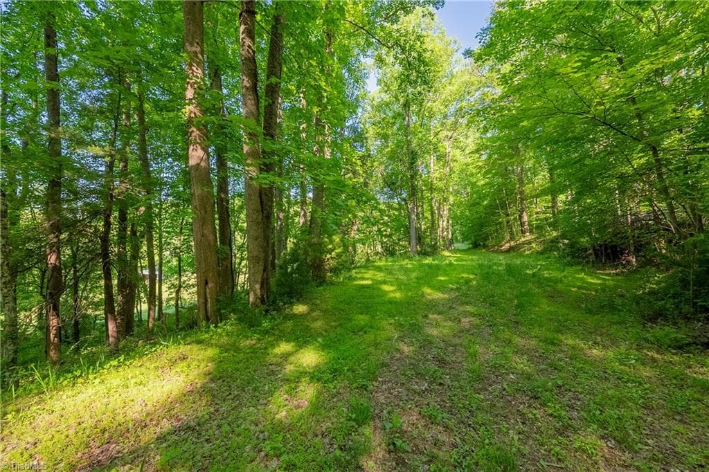 Unimproved Land at 8730 Lee Drive NE, Copper Hill VA 24079, Copper Hill, photo 34 of 50