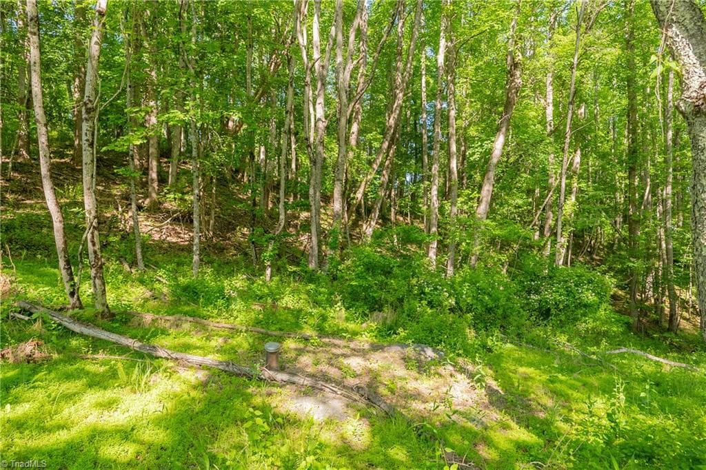 Unimproved Land at 8730 Lee Drive NE, Copper Hill VA 24079, Copper Hill, photo 38 of 50
