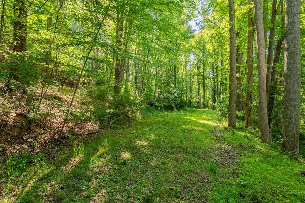 Unimproved Land at 8730 Lee Drive NE, Copper Hill VA 24079, Copper Hill, photo 33 of 50