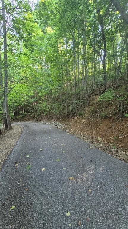Single Family Residence at 00 Town N Country Drive, Wilkesboro NC 28697, photo 2 of 5