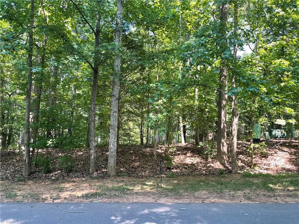 Single Family Residence at 196 Larkspur Lane, Lexington NC 27292, Lexington, photo 3 of 6