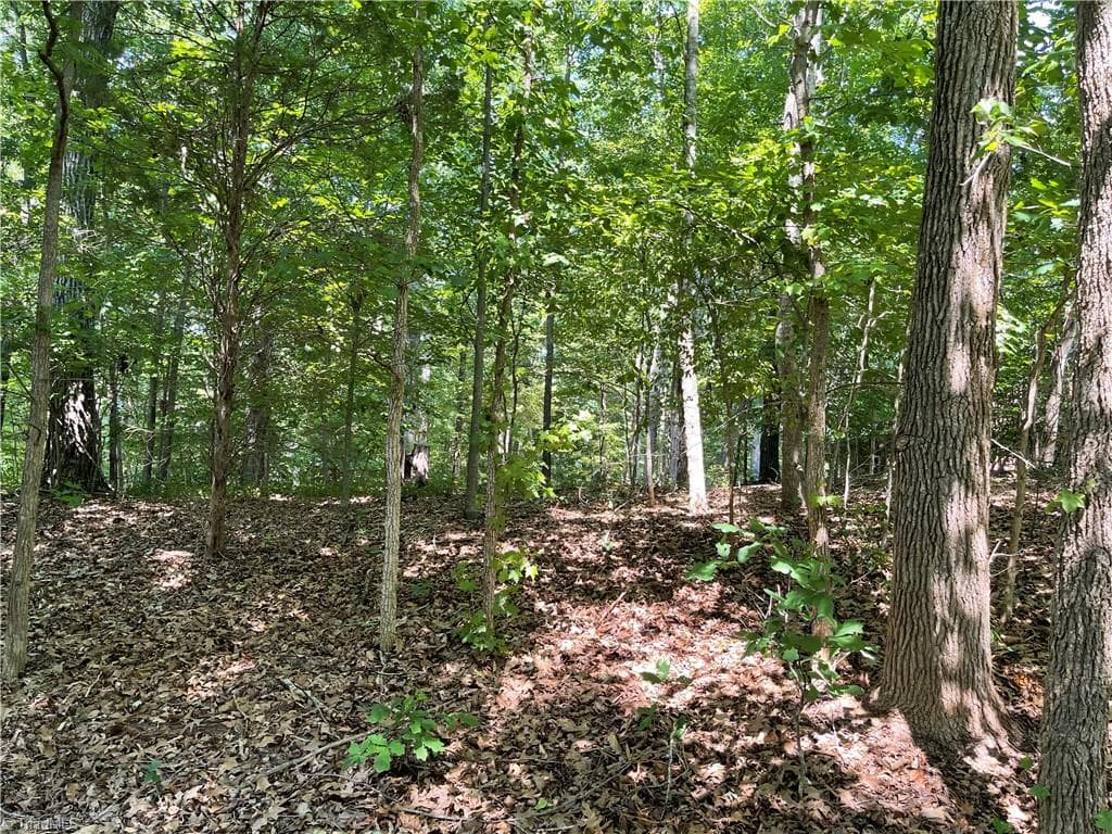Single Family Residence at 196 Larkspur Lane, Lexington NC 27292, Lexington, photo 5 of 6