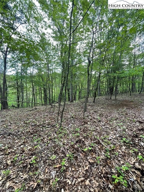 Unimproved Land at TBD Edwin Blevins Road, Jefferson NC 28640, photo 2 of 13