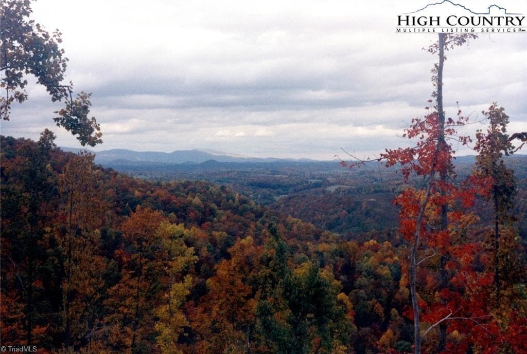 Unimproved Land at TBD Edwin Blevins Road, Jefferson NC 28640, photo 6 of 13