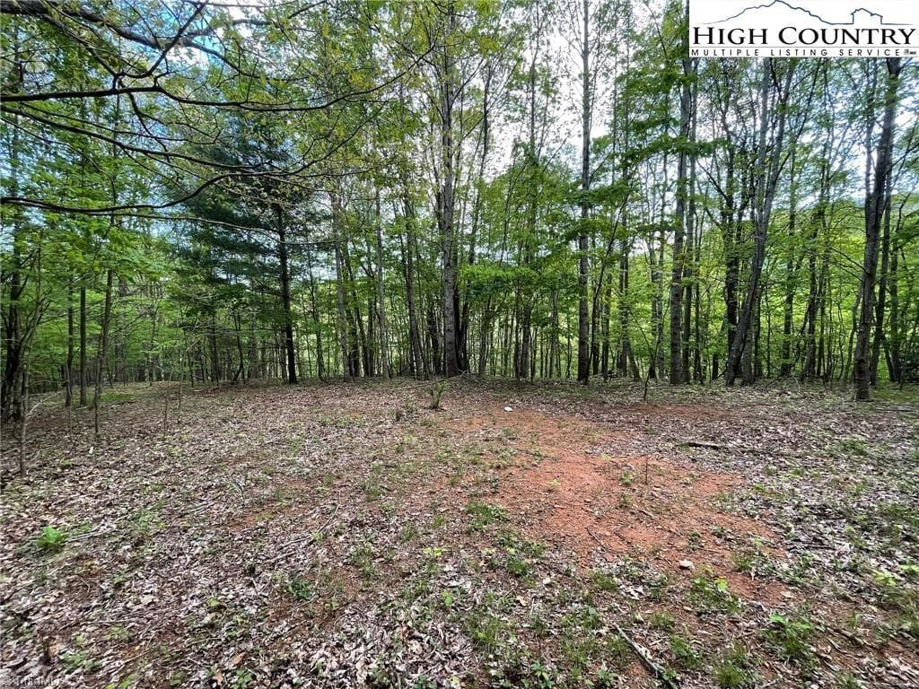 Unimproved Land at TBD Edwin Blevins Road, Jefferson NC 28640, photo 13 of 13