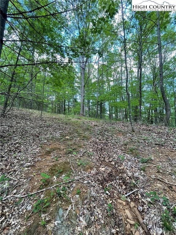 Unimproved Land at TBD Edwin Blevins Road, Jefferson NC 28640, photo 12 of 13