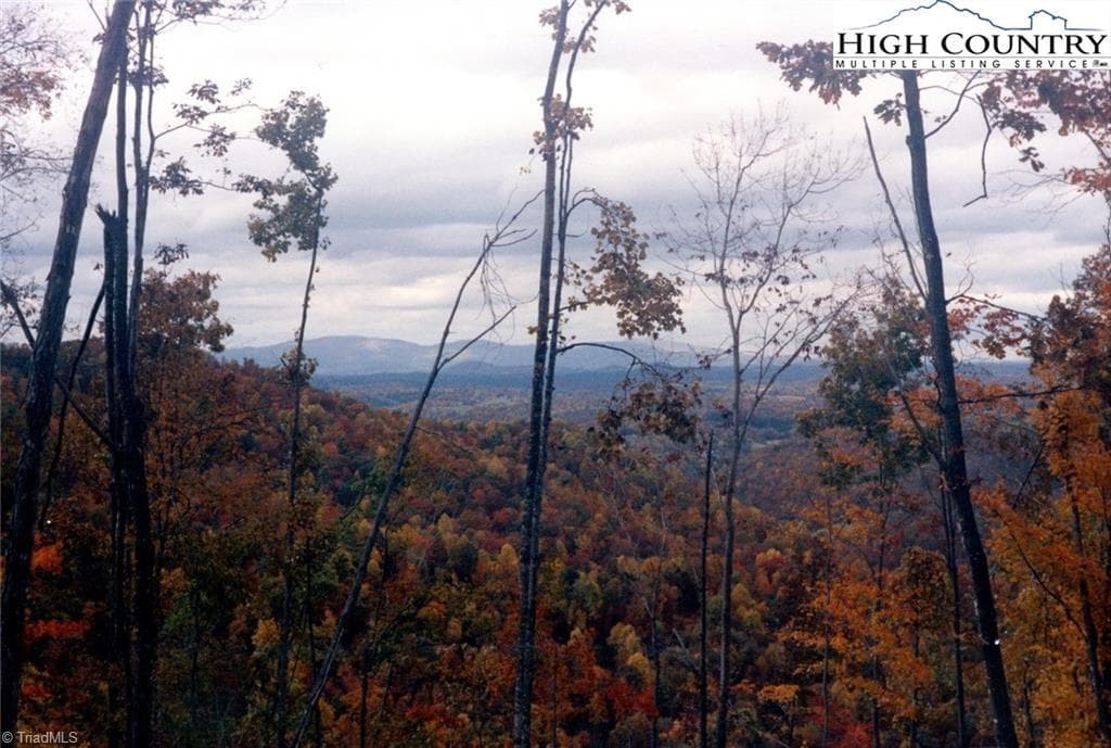 Unimproved Land at TBD Edwin Blevins Road, Jefferson NC 28640, photo 7 of 13