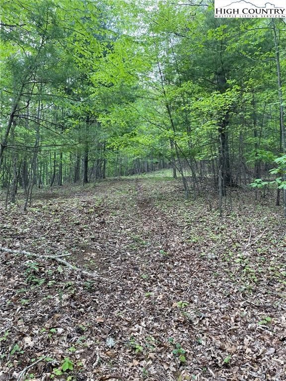 Unimproved Land at TBD Edwin Blevins Road, Jefferson NC 28640, photo 3 of 13