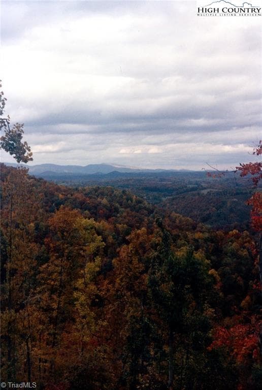 Unimproved Land at TBD Edwin Blevins Road, Jefferson NC 28640, photo 5 of 13