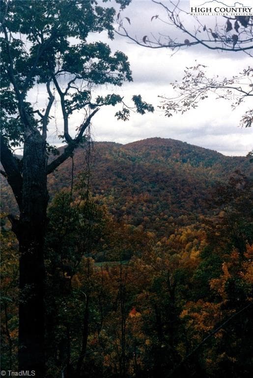 Unimproved Land at TBD Edwin Blevins Road, Jefferson NC 28640, photo 10 of 13