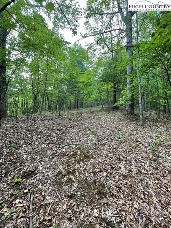 Unimproved Land at TBD Edwin Blevins Road, Jefferson NC 28640, photo 11 of 13