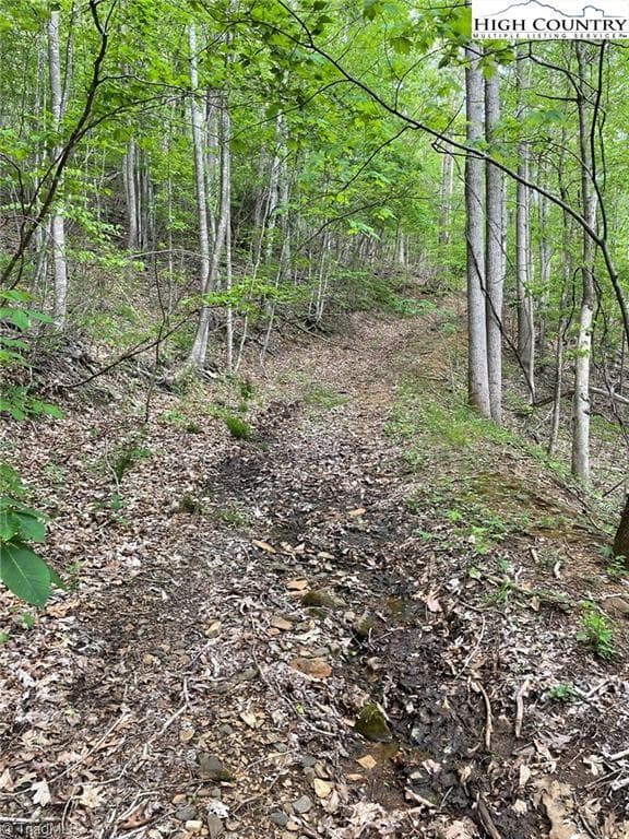 Unimproved Land at TBD Edwin Blevins Road, Jefferson NC 28640, photo 4 of 13