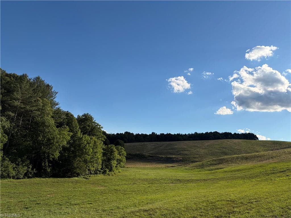 Unimproved Land at 1779 Round Hill Church Road, Traphill NC 28685, photo 23 of 49