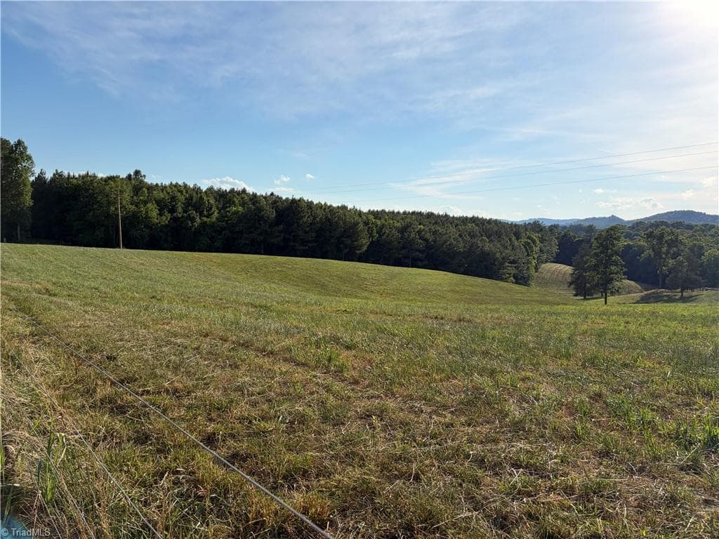 Unimproved Land at 1779 Round Hill Church Road, Traphill NC 28685, photo 17 of 49